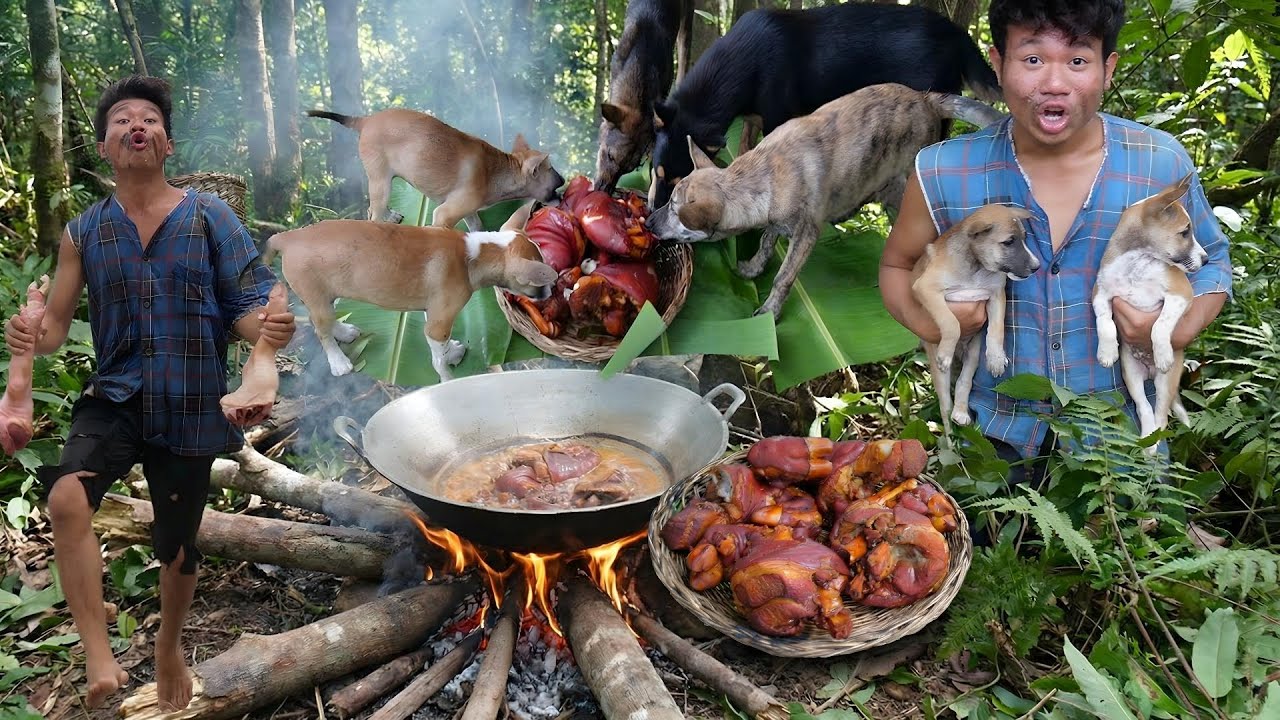 Wilderness Cooking Braised Pig Legs For Dog