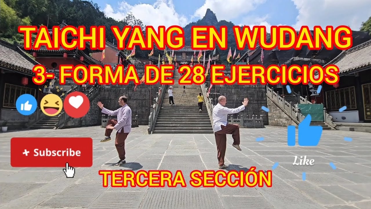3- FORMA DE 28 EJERCICIOS - TAICHI YANG DESDE WUDANG - TERCERA SECCIÓN