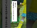芸人のいい話 #ノブ #浜田雅功 #千鳥 #ダウンタウン