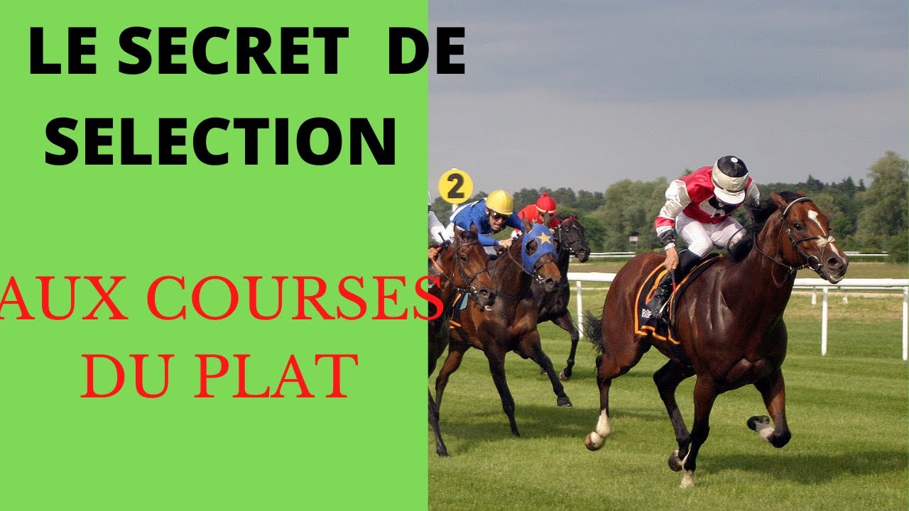 🍸🐋🌴COMMENT SELECTIONNER FACILEMENT POUR LES COURSES DU PLAT🍊🍎🍀