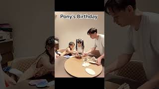 Pony's 5th birthday Paula's Malvern friend