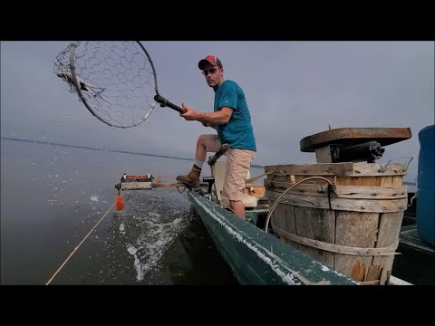 Comment - Trot ligne Crabbing - (Le Salon de crabe)