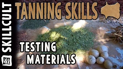 Testing a Bunch of Natural Leather Tanning Materials- leaves, barks, roots, acorn caps, etc.