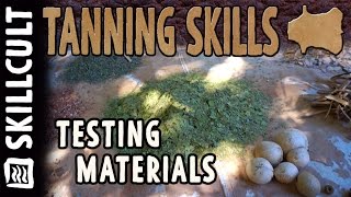 Testing a Bunch of Natural Leather Tanning Materials leaves, barks, roots, acorn caps, etc.