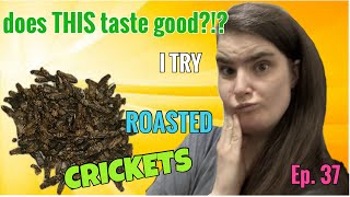 I TRY ROASTED CRICKETS! Does THIS taste good?!? Episode 37