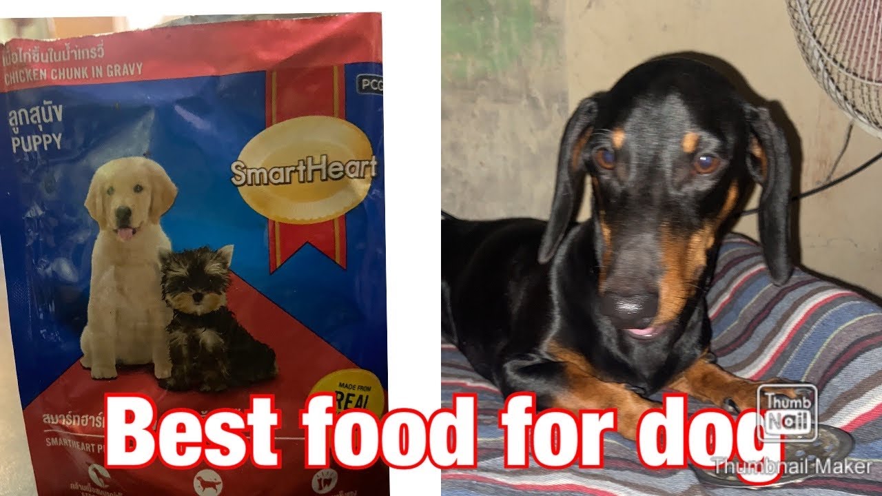 Smart heart puppy Gravy Best food for dog Puppy nutrition YouTube