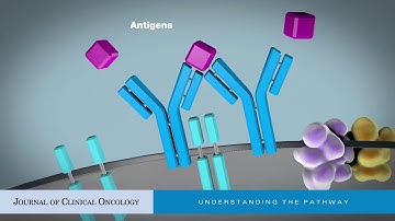 Targeting B-Cell Receptor Signaling for Anticancer Therapy