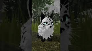 Коты-Воители || Warrior- Cats || Роблокс || Roblox