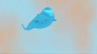 bird animation flying