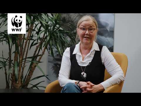 Video: Mitä on luonnonsuojeluelämä?