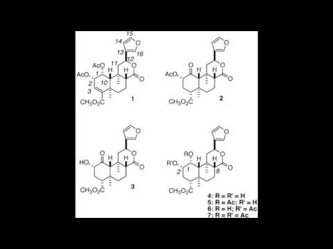 SPACEFLY 'Neoclerodane Diterpene'
