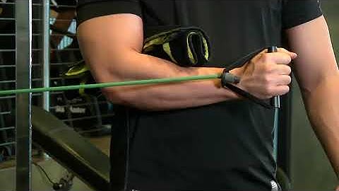 Internal Rotation with Band   Exercise Videos & Guides   Bodybuilding com