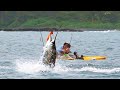 Offshore Kayak Fishing for MONSTERS of the Pacific (CATCH CLEAN COOK)