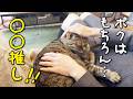 4匹の猫たちの「推し」はお父さん？それともお母さん？