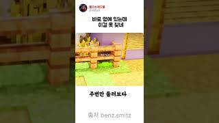 아니, 저게 안 보인다고?! 시력 검사가 시급한 술래의 역대급 숨바꼭질 😂 #mecchachameleon #멧챠카멜레온 #메챠카멜레온 #카멜레온