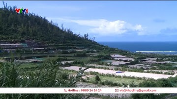 Nguồn nước ngầm trên đảo Lý Sơn ngày càng  cạn kiệt | VTV24