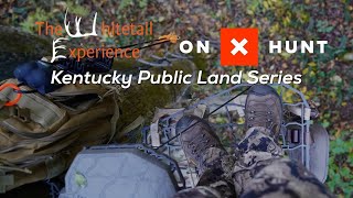 Kentucky Rut Hunt and Map Breakdown