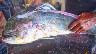 ACCURATE FISH CUTTING || FAST FISH CUTTING || BIG TASTY DOLPIN FISH CUTTING SKILLS