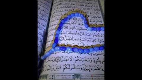 سورة الناس الشيخ أبوبكر الشاطري