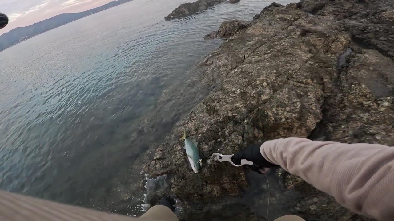 【青物狙いで連敗中…】　しまなみ海道で青物狙い　なんとか釣って連敗脱出しました