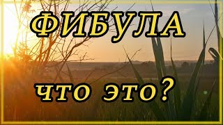 Блогер подсказал место для копа. Фибулы#копнапозитиве