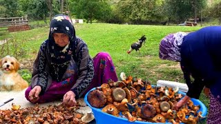 How to collect a lot of mushrooms in the village. village documentary