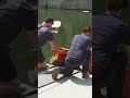 These robotic sharks are cleaning up the U.K.’s rivers and seas
