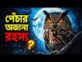পেঁচার অজানা রহস্য 😱🦉 | রাতে এরা এত ভয়ংকর কেন? 🌙 Documentary