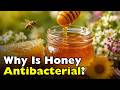 Why Is Honey Naturally Antibacterial?