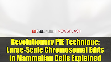 Revolutionary PIE Technique: Large-Scale Chromosomal Edits in Mammalian Cells Explained