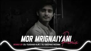 MOR MRIGNAIYANI DJ SONGS