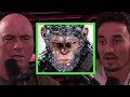 Joe & Max Holloway on Genetically Engineered Monkeys