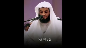 تلاوة هادئة بصوت القارئ رعد الكردي 😴🤍      #قرآن #رعد_الكردي #quran