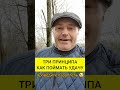 Три принципа, как поймать удачу