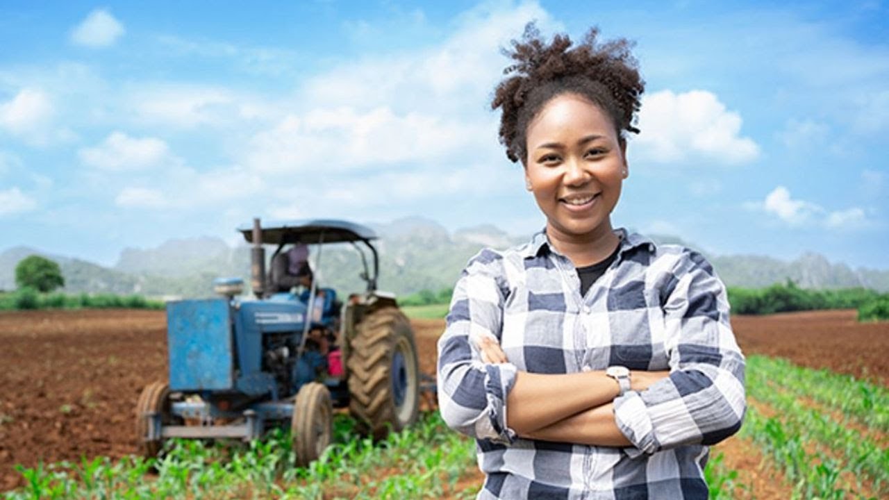Kenya's Youth Agriculture Crisis | The Missing Link to the Kenyan Dream