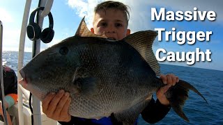 Reef Dropping For Triggers and Vermillion Snapper!