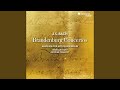 Miniature de la vidéo de la chanson Brandenburg Concerto No. 5 In D Major, Bwv 1050: Ii. Affettuoso