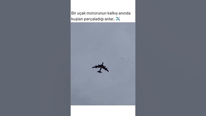 ✈️🚨 Bir uçak motorunun kalkış anında kuşları parçaladığı anlar. ✈️