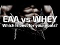 Essential Amino Acids (EAA) vs Whey Protein: Which Is Best For Your Training Goals?