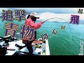 追擊青物 開心到飛起 ┃大漁小魚#128 ┃CC中文字幕