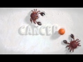 Anti Obesity Drive 2013- Cancer