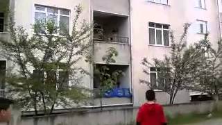 Volkan'a Sulu Şaka I Eşek Şakası