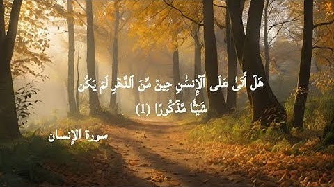 تلاوة خاشعة من سورة الإنسان | ترتيل يلامس القلوب 🌿