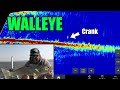 Cranking shallow water walleye