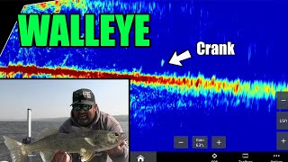 Cranking Shallow Water Walleye!