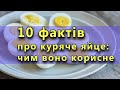 Одне яйце щодня - запорука здоров&#39;я? 10 фактів про куряче яйце.