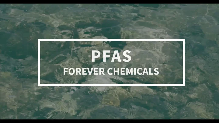 PFAS: Forever Chemicals | What We Know and How to Reduce Exposure