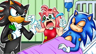 Very Sad Story - Sorry Sonic! Amy Has Her Own Suffering | Sonic The Hedgehog 3 Animation