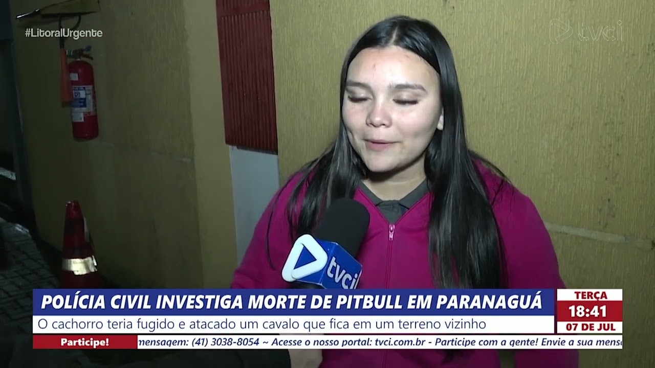 POLÍCIA CIVIL INVESTIGA MORTE DE PITBULL EM PARANAGUÁ