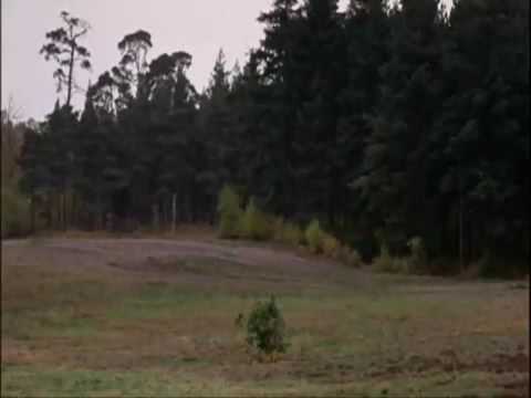 How Not To Be Seen monty python